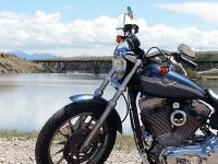 Harley